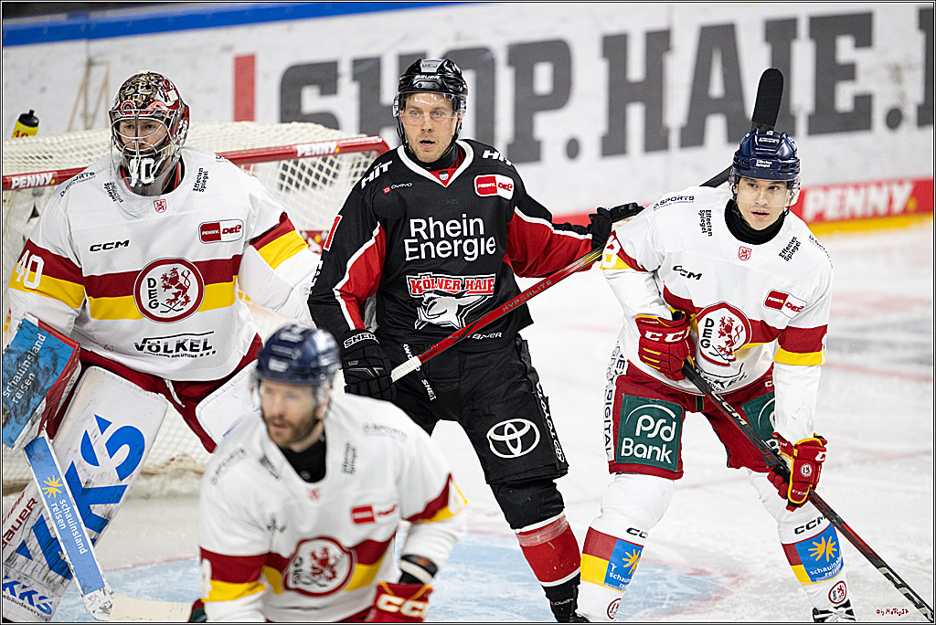 PENNY DEL 1; Kölner Haie - Düsseldorfer EG ; Köln, 16.02.2025